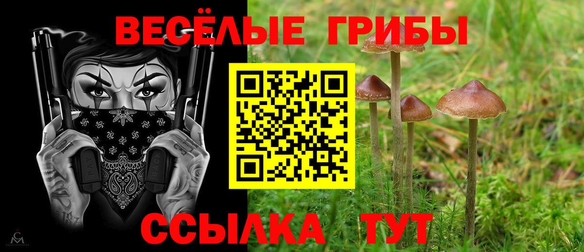 Стрежевой  Псилоцибиновые грибы мицелий  Вход с VPN  Псилоцибиновые грибы прущие грибы 